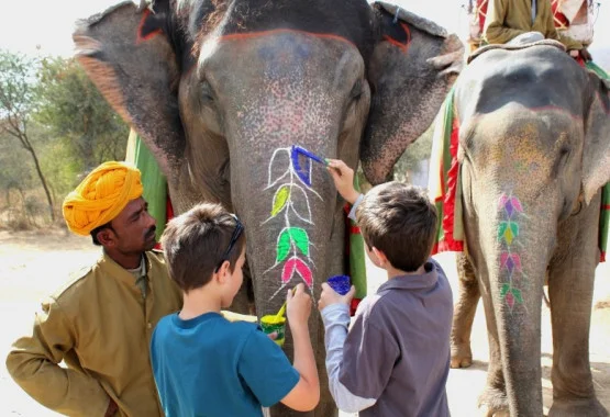Elephant with kids
